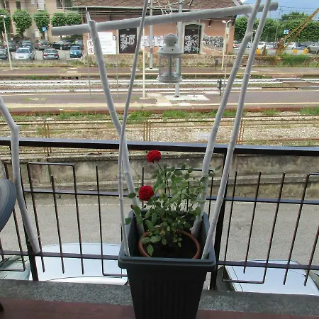 Red Rose * Stresa